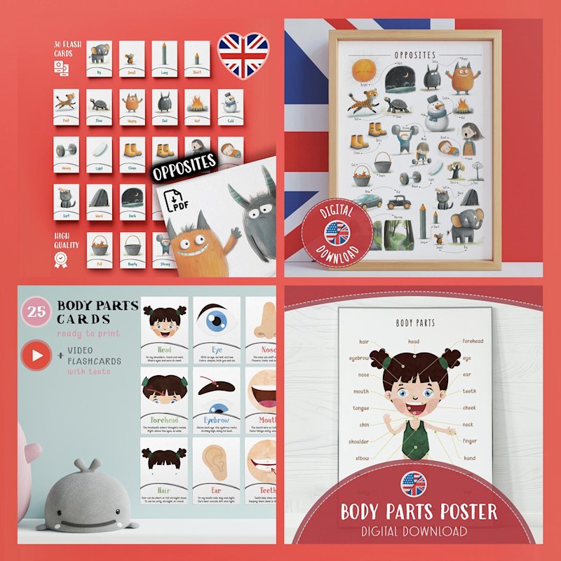 preschool-learning-pack-300-flashcards - Image 4
