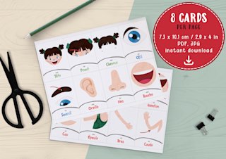cartes-parties-du-corps-francais-enfants - Image 3