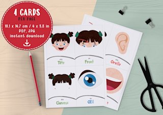 cartes-parties-du-corps-francais-enfants - Image 2
