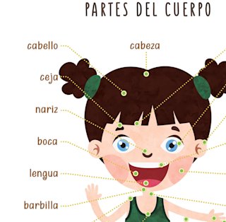 spanish-body-parts-poster-human-anatomy - Image 4