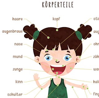 korperteile-poster-kinder-deutsch-o - Image 4