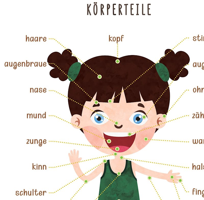 korperteile-poster-kinder-deutsch-o - Image 4