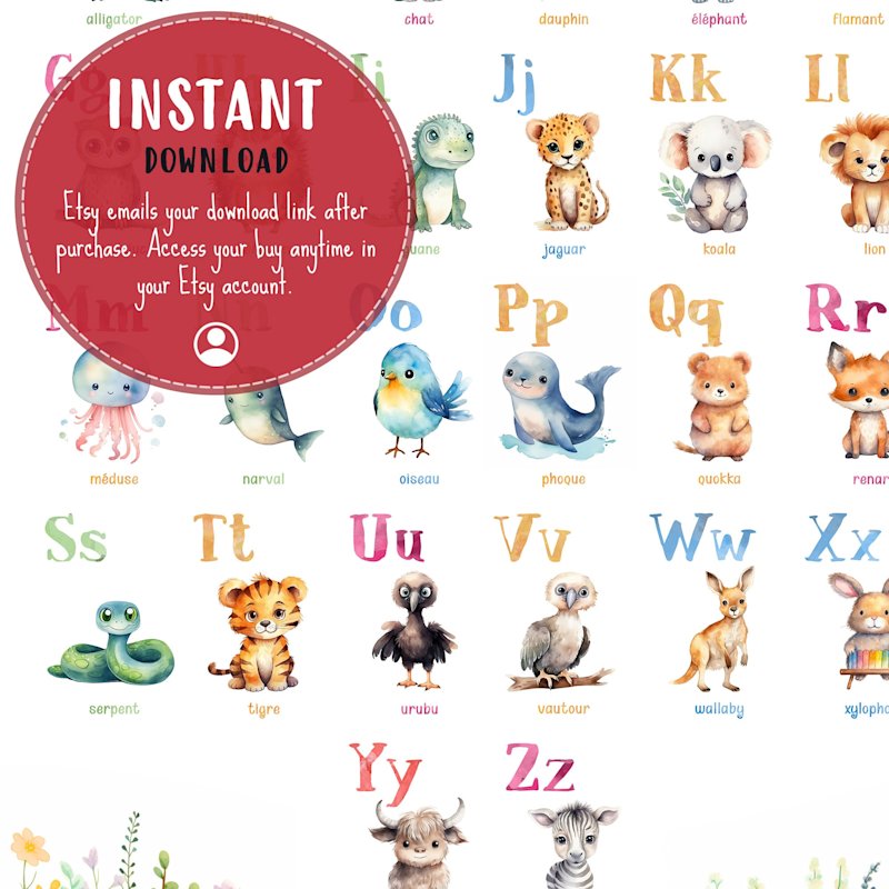 affiche-alfabet-francais-animaux-o - Image 6