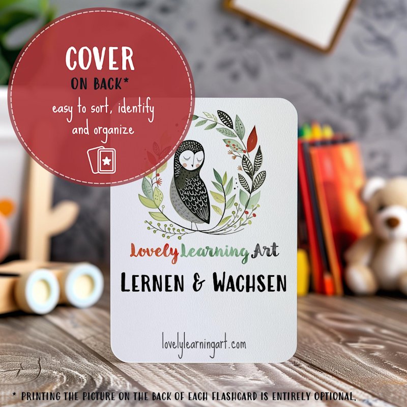 gegensatze-flashcards-kinder-deutsch-o - Image 9