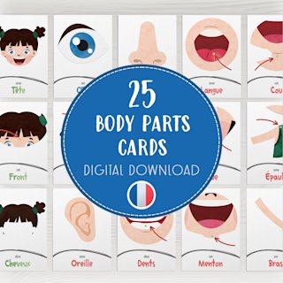 cartes-parties-du-corps-francais-enfants - Image 1