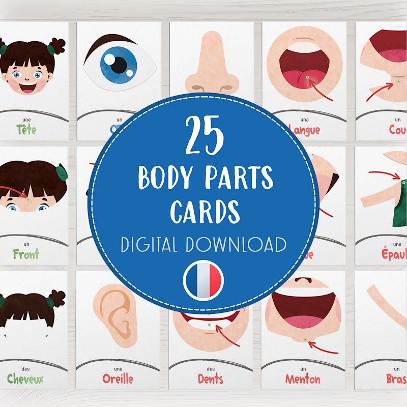 cartes-parties-du-corps-francais-enfants - Image 1