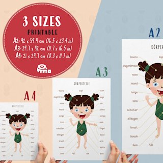 korperteile-poster-kinder-deutsch-o - Image 2