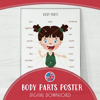 human-body-poster-for-kids-educational - Image 1