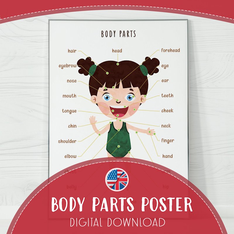 human-body-poster-for-kids-educational - Image 1