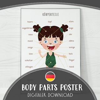 korperteile-poster-kinder-deutsch-o - Image 1