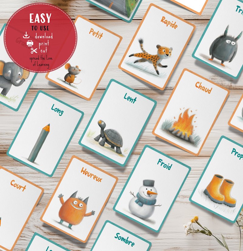 cartes-flash-adjectifs-opposes-francais - Image 8