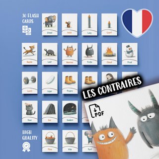 cartes-flash-adjectifs-opposes-francais - Image 1