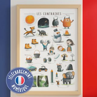 affiche-adjectifs-opposes-francais-o-art - Image 1
