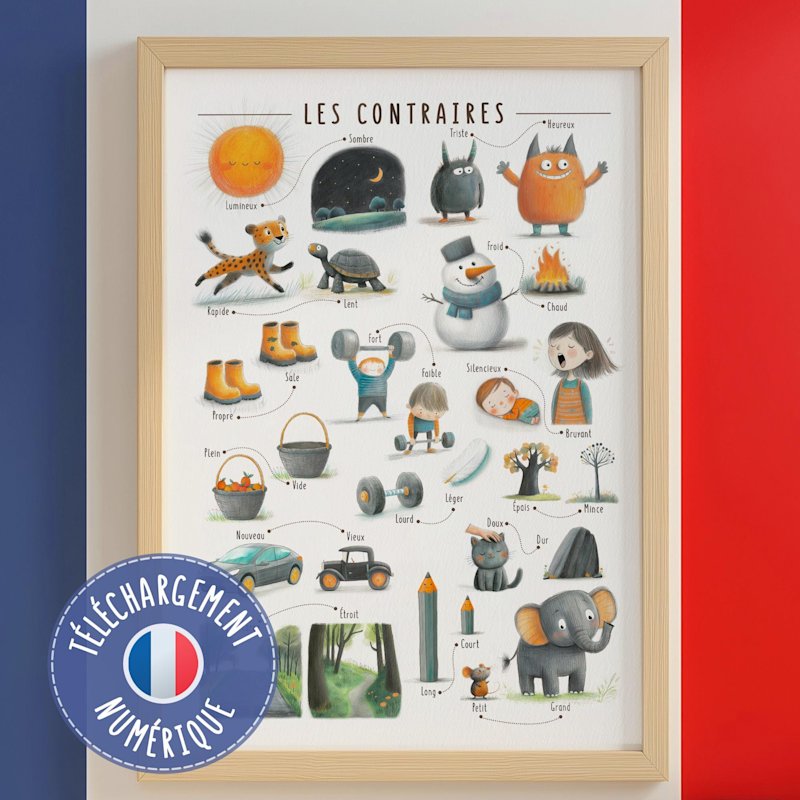 affiche-adjectifs-opposes-francais-o-art - Image 1