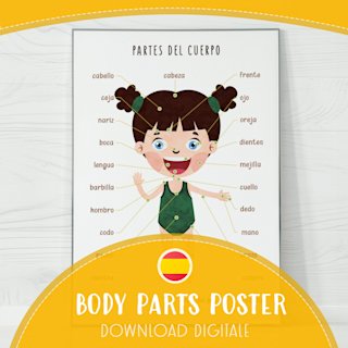 spanish-body-parts-poster-human-anatomy - Image 1