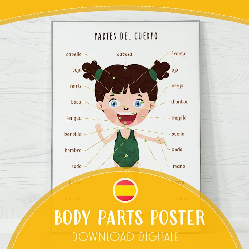 spanish-body-parts-poster-human-anatomy - Image 1