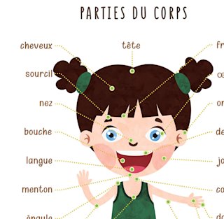 affiche-parties-du-corps-enfants - Image 4